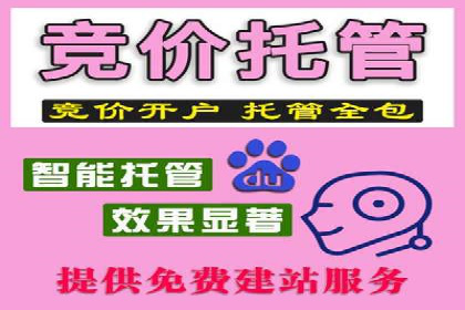 某公司SEM运营全流程解析及效果展示